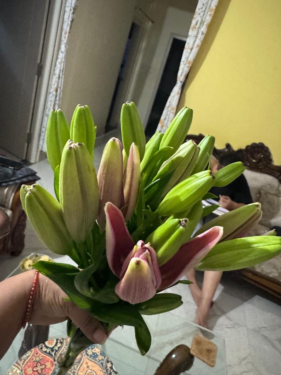 Customer photo review of Asiatic Lily