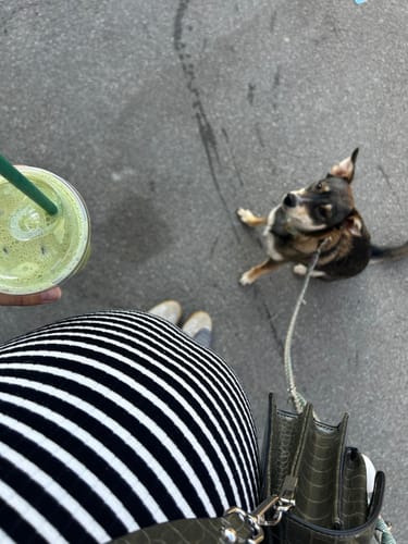 Customer photo review of Ceremonial Matcha "Imperial Cloud"