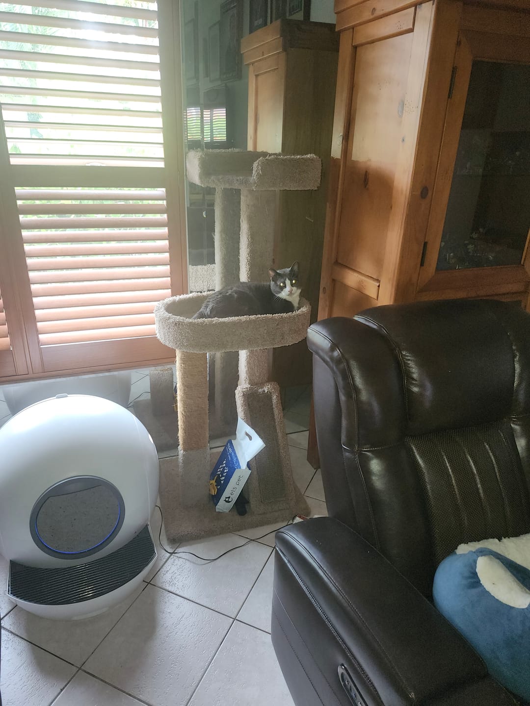 Customer photo review of ELS PET Mixed Cat Litter