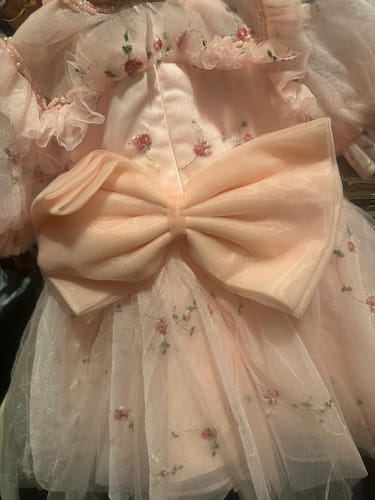 Customer photo review of Baby Girl Formal Dresses Toddler Bow Puffy Floral Princess Dress Girl Birthday Party Dress