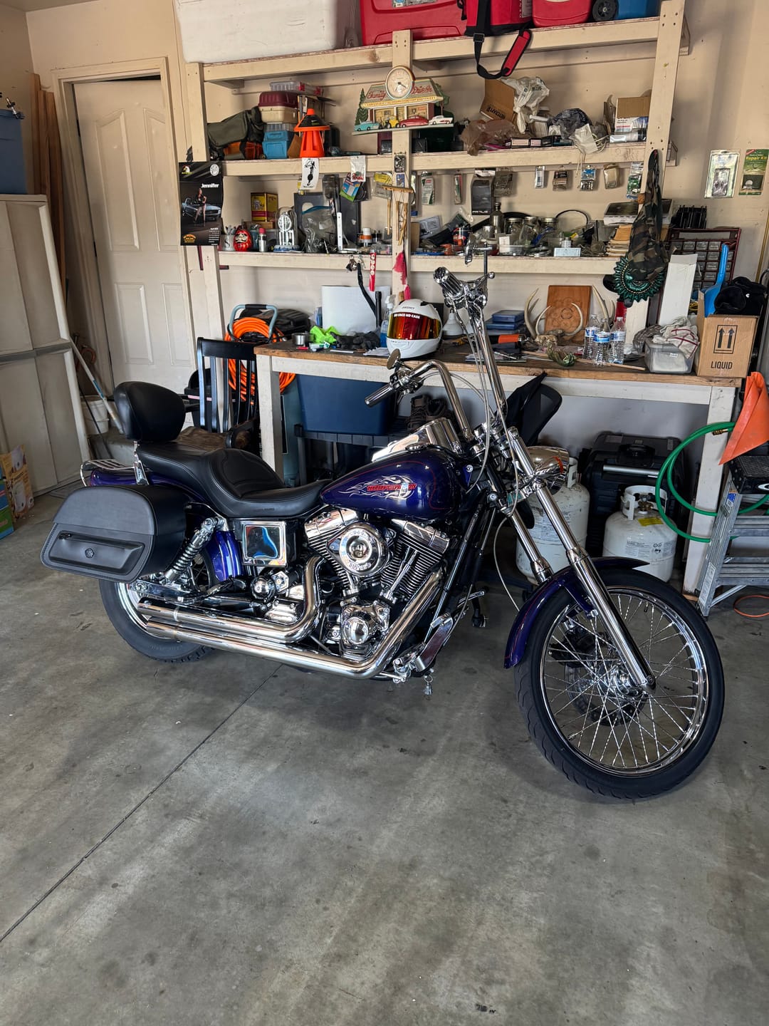 Customer photo review of 32L - Pantheon Large Hard Mount Shock Cutout Saddlebags for Harley Dyna Wide Glide FXDWG/I