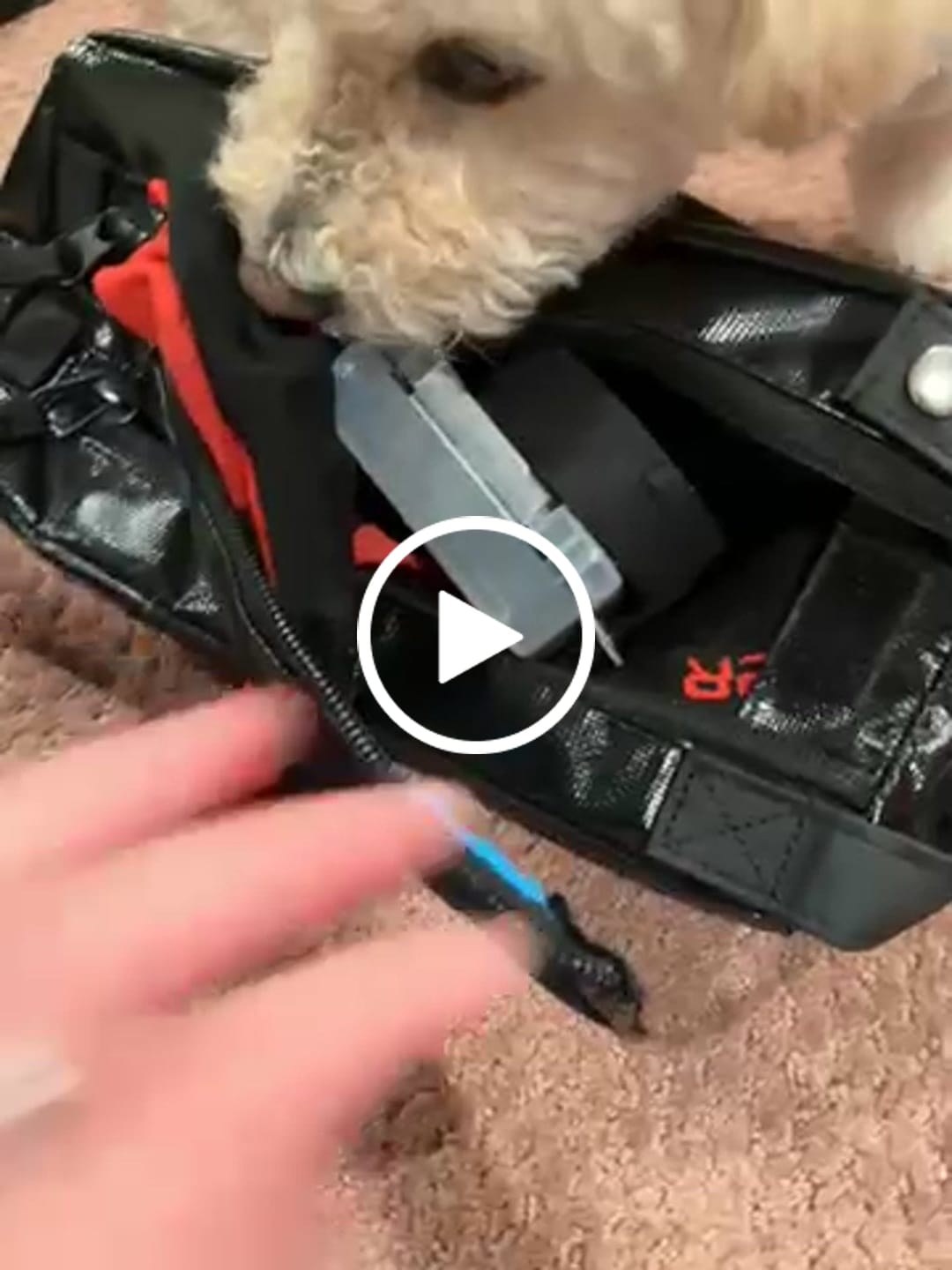 Customer video review of Conway+Banks Hockey Accessory Bag