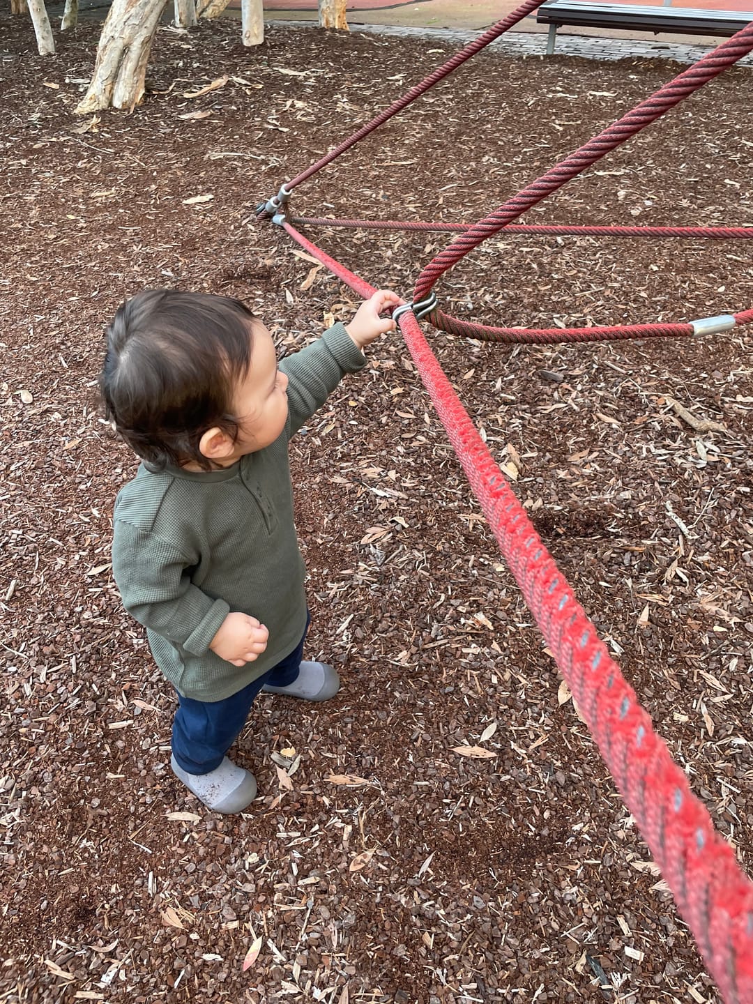 Customer photo review of Grey Low Cut