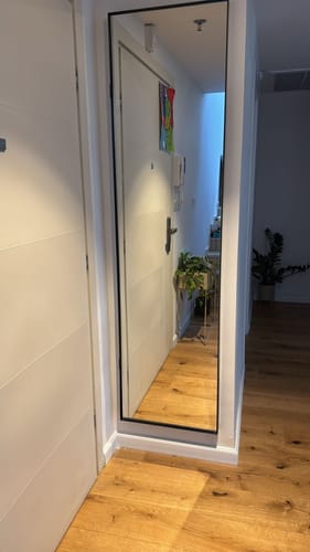 Customer photo review of דלת מראה להסתרת ארון חשמל