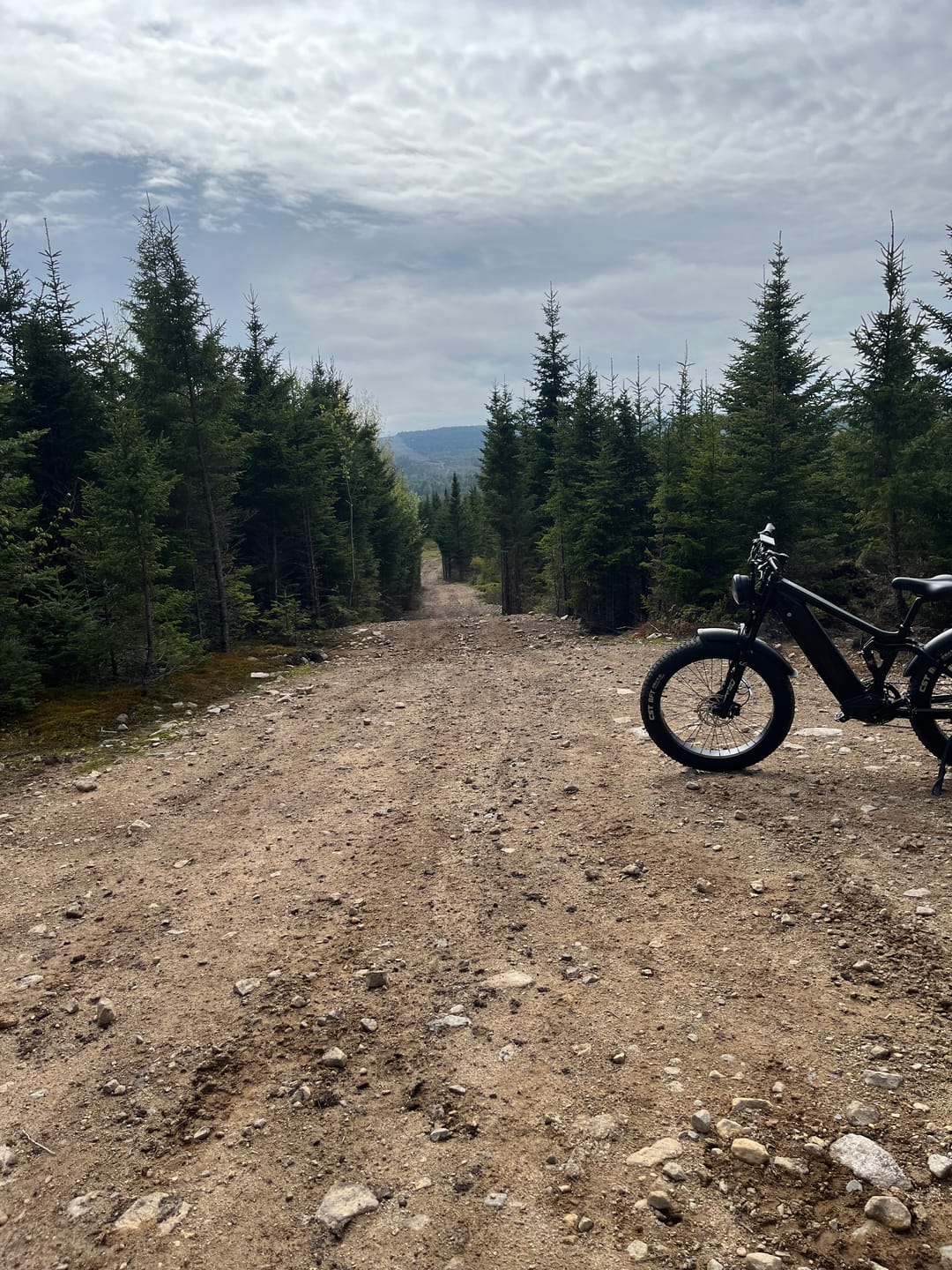 Customer photo review of T7 Full Suspension Mountain E-bike