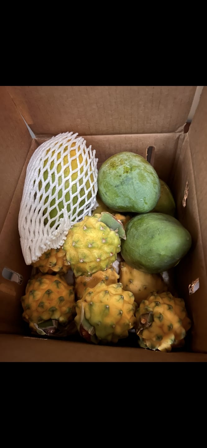 Customer photo review of Build Your Own Tropical Fruit Box