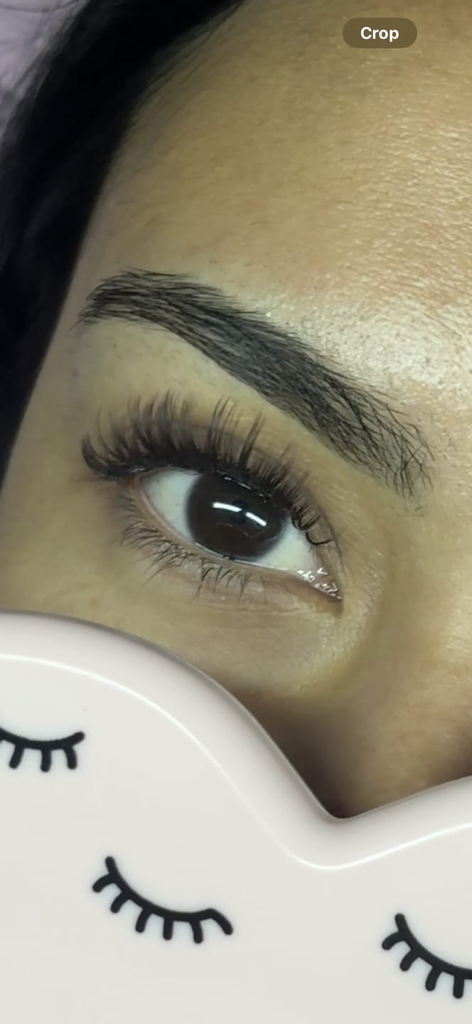 Customer photo review of Brown Color Lash 0.03/0.05mm