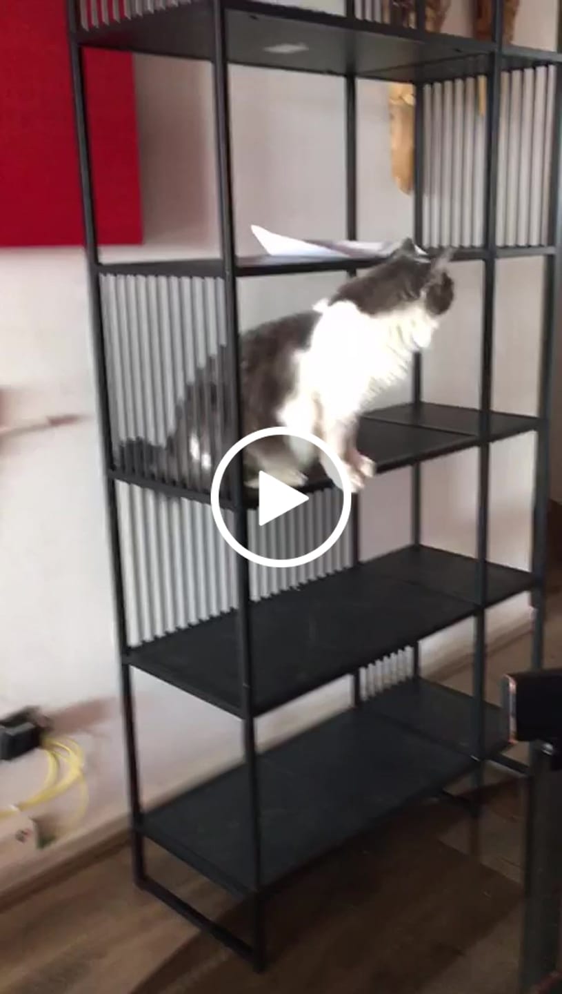 Customer video review of Servicio Armado Avanzado por unidad (Solo para RM)