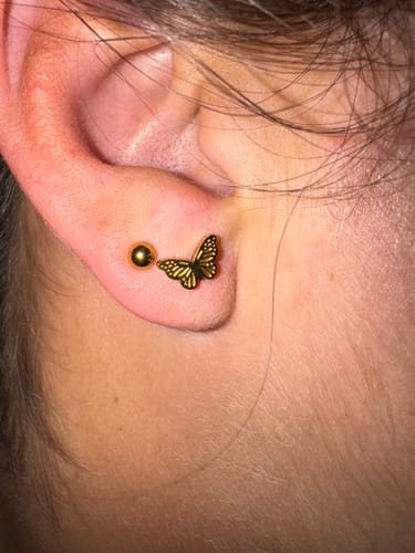 Customer photo review of Classic Butterflies