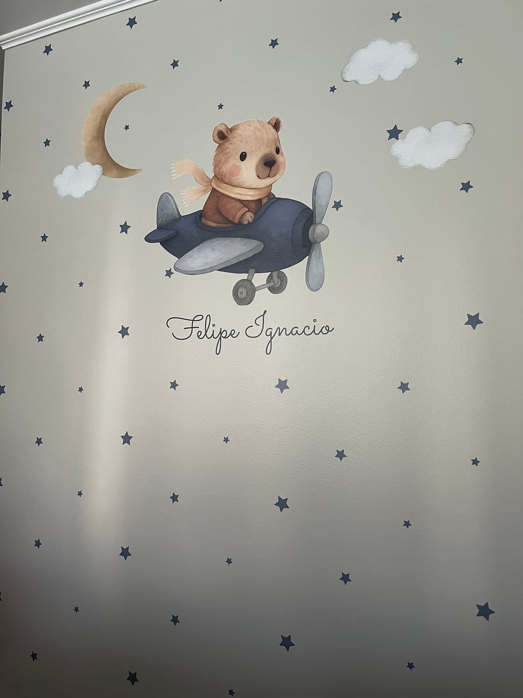 Customer photo review of Capibara aviador