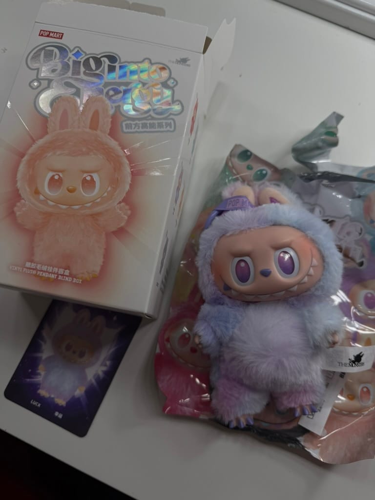Customer photo review of Pop Mart Labubu The Monsters Big into Energy Series Vinyl Plush Pendant Sealed Case (Single Blind Box)