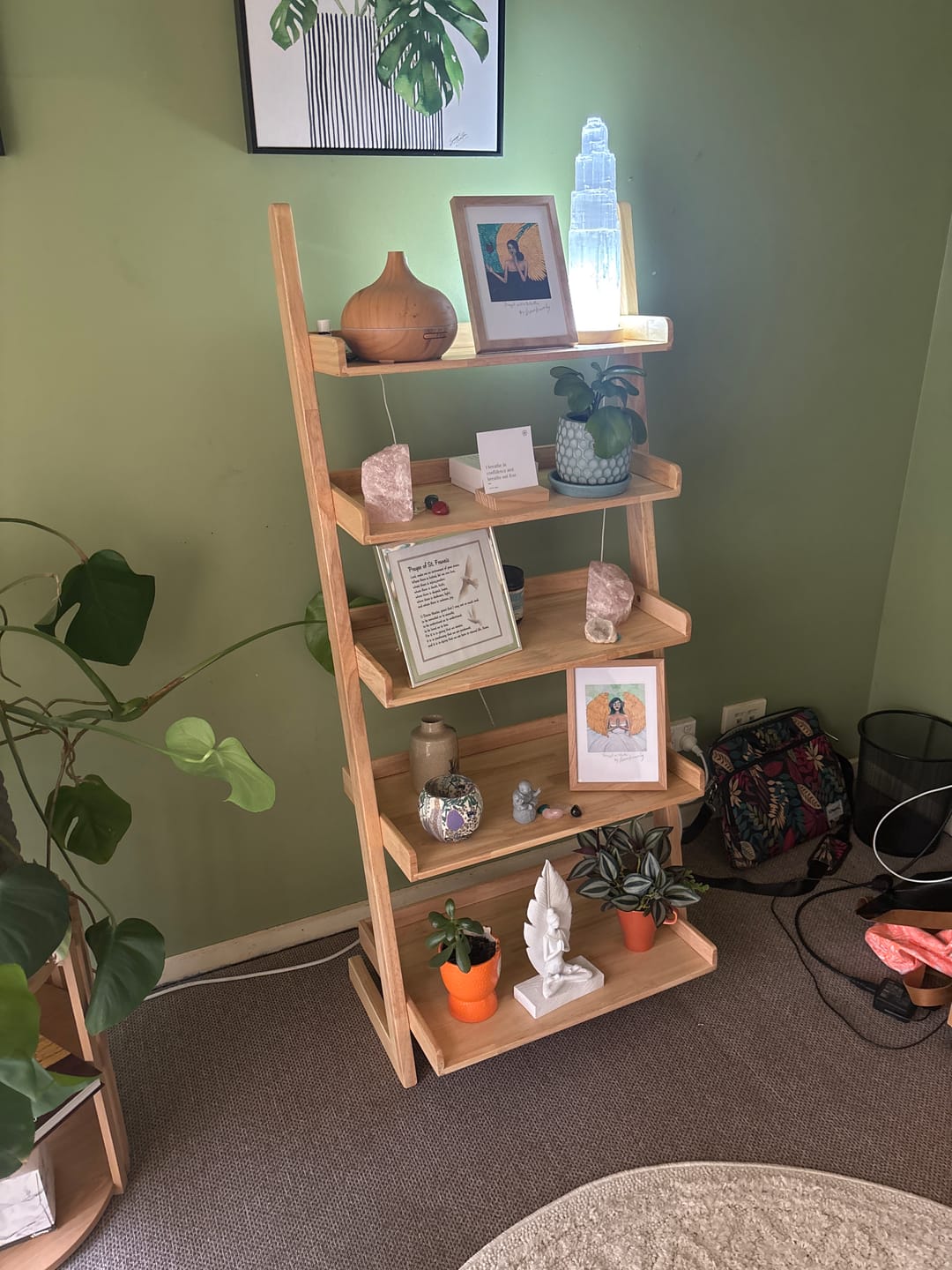 Customer photo review of Solid Wood Five Shelf Bookcase/Showcase/Plant Stand/Rack