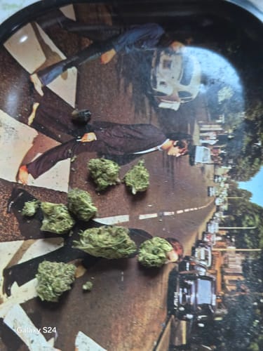 Customer photo review of Bubba Kush  - 14 Grams Full Size Bud - Indica