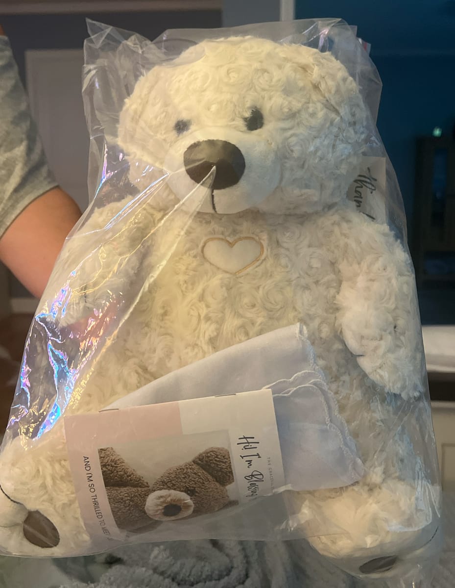 Customer photo review of Snowy Blessing Bear™