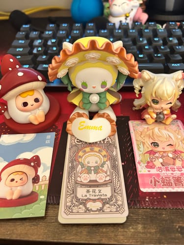 Customer photo review of Emma Secret Forest Masked Masquerade Series 3 Blind Box