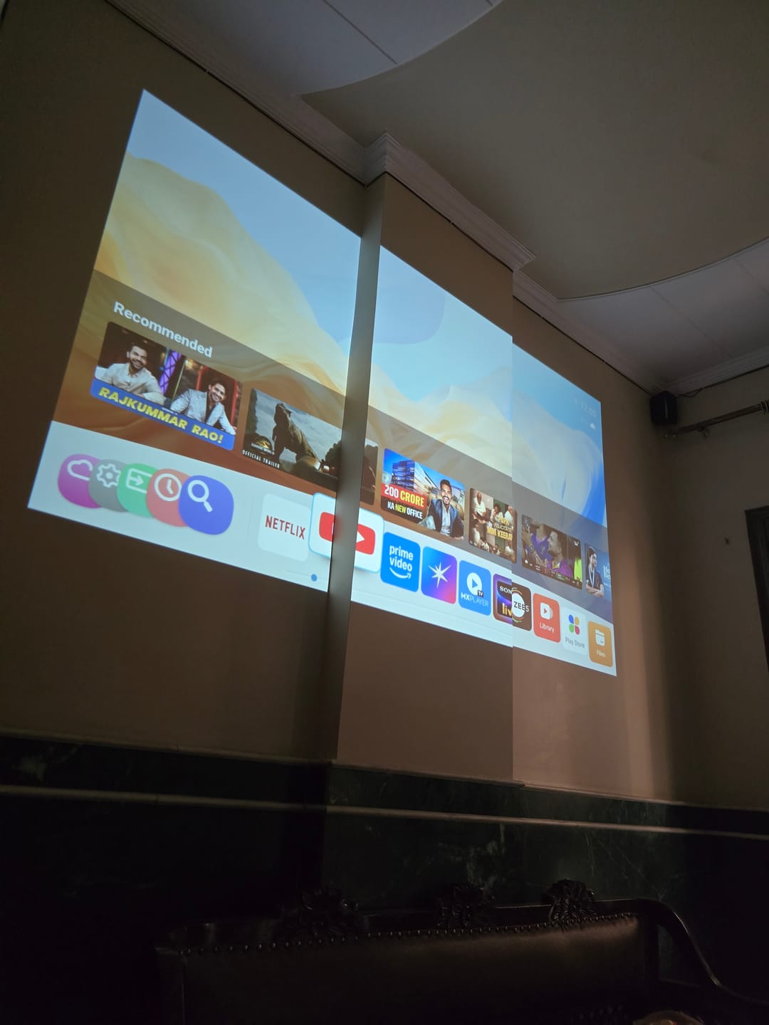 Customer photo review of Lumex Flix