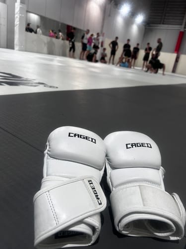 Customer photo review of 'X' Series MMA Sparring Gloves
