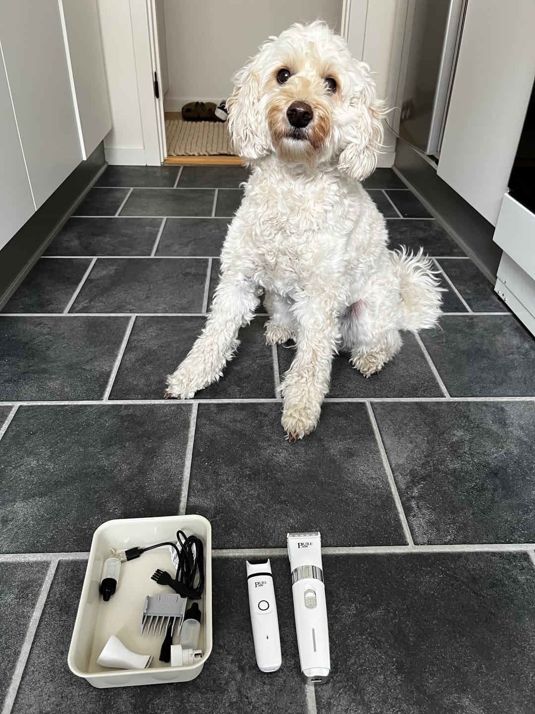 Customer photo review of Purepaw - Premium Keramisk Hundetrimmer