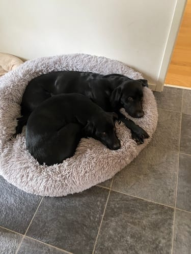 Customer photo review of CalmBed - Motverkar stress & hjälper mot ångest