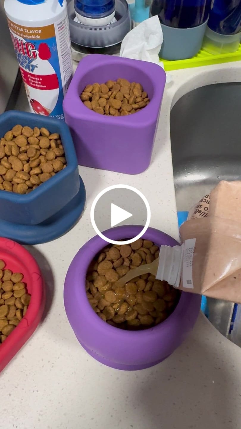 Customer video review of FreezStar - Long-Lasting Star Chew