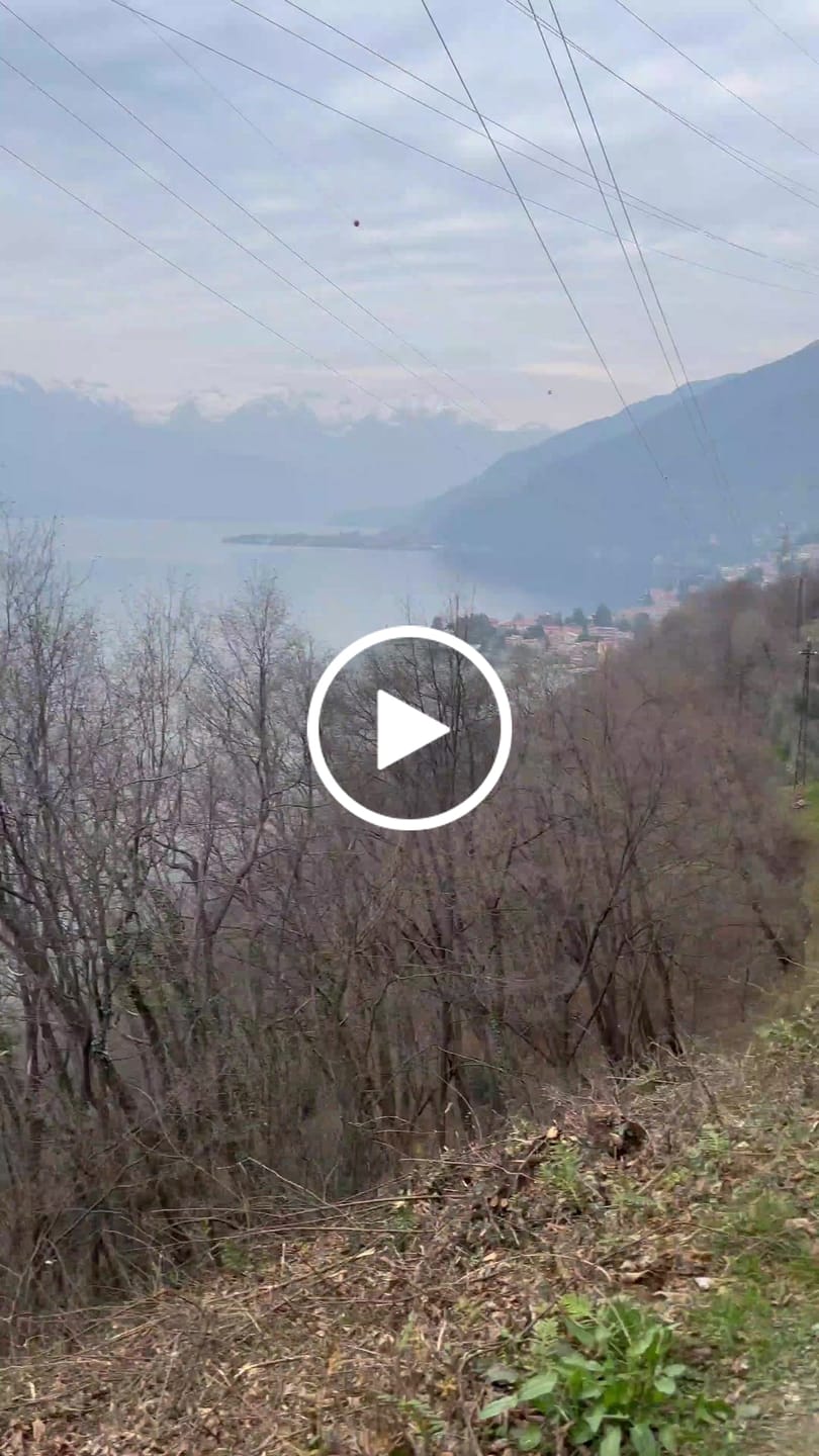 Customer video review of get lost.