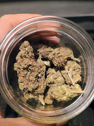 Customer photo review of Super Lemon Haze THCA Flower