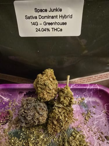 Customer photo review of Space Junkie