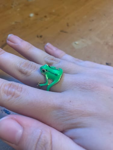 Customer photo review of Frog Ring