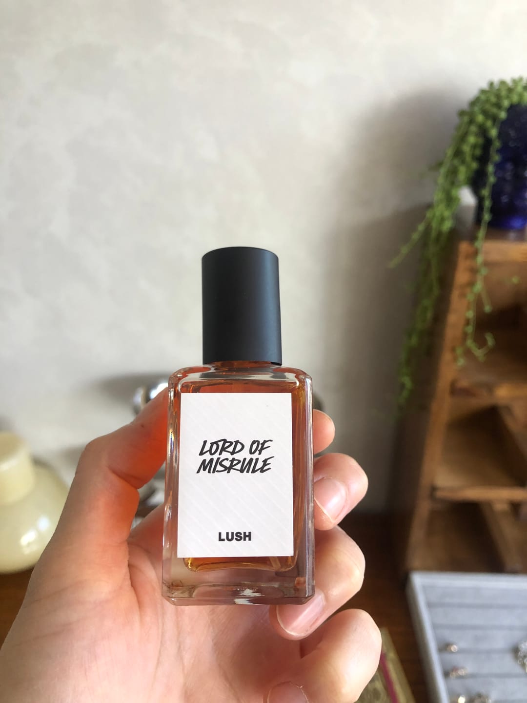 Customer photo review of Lord of Misrule