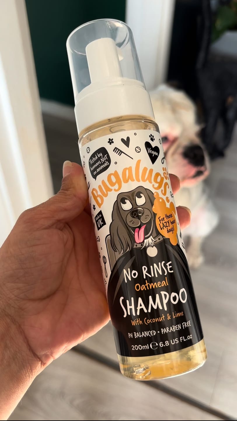 Customer photo review of No Rinse Oatmeal Dog Shampoo with Coconut & Lime