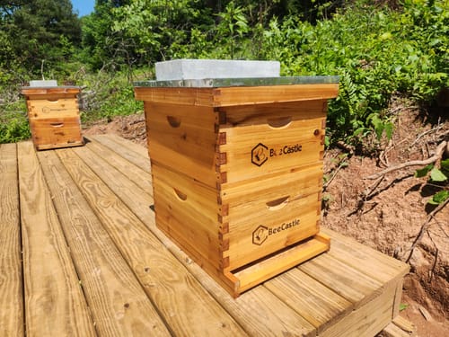 Customer photo review of BeeCastle Hives 10 Frame 4 Layer Complete Cedar Wood Beehive Kit:Designed with 2 Deep Beehive Boxes and 2 Super Bee Boxes,with Premium Wooden Frames and Beeswax Plastic Foundation