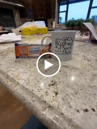 Customer video review of CLEARANCE Peanut But Her Chocolate Chip - 5 bars