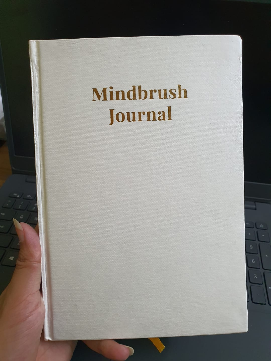 Customer photo review of Mindbrush Journal