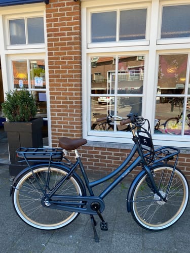 Customer photo review of E-Cargo N3