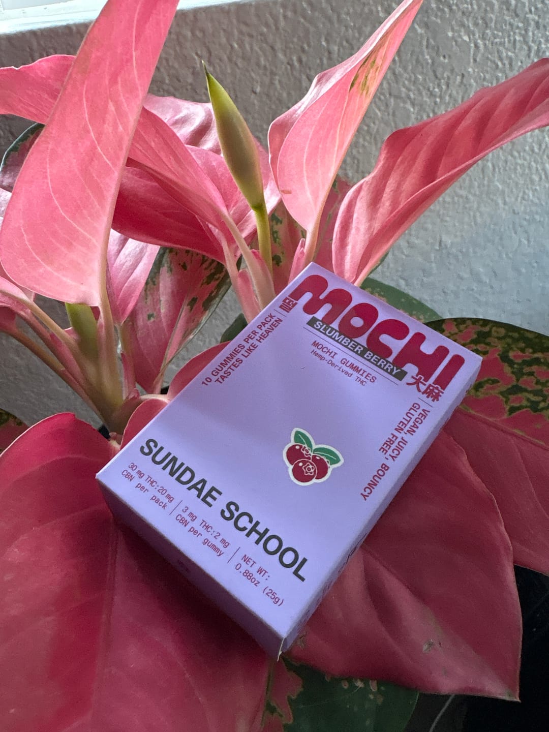 Customer photo review of Slumber Berry