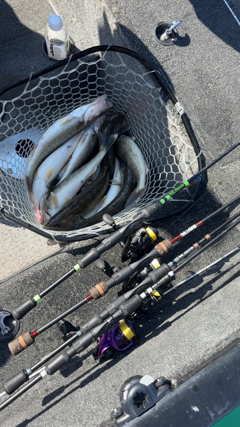 Customer photo review of Custom Spinning Rod