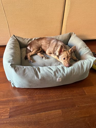 Customer photo review of Divanetto Mattias Verde chiaro (Soft Touch)