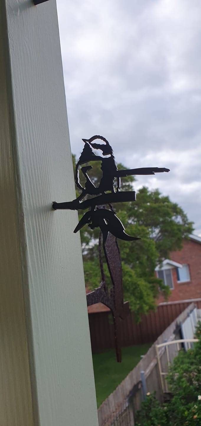 Customer photo review of Mini Blue Wren