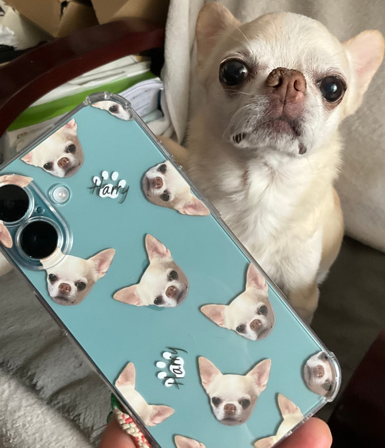 Customer photo review of ペットの写真で作るオリジナルユアフォトスマホケース02（iPhone,Android）