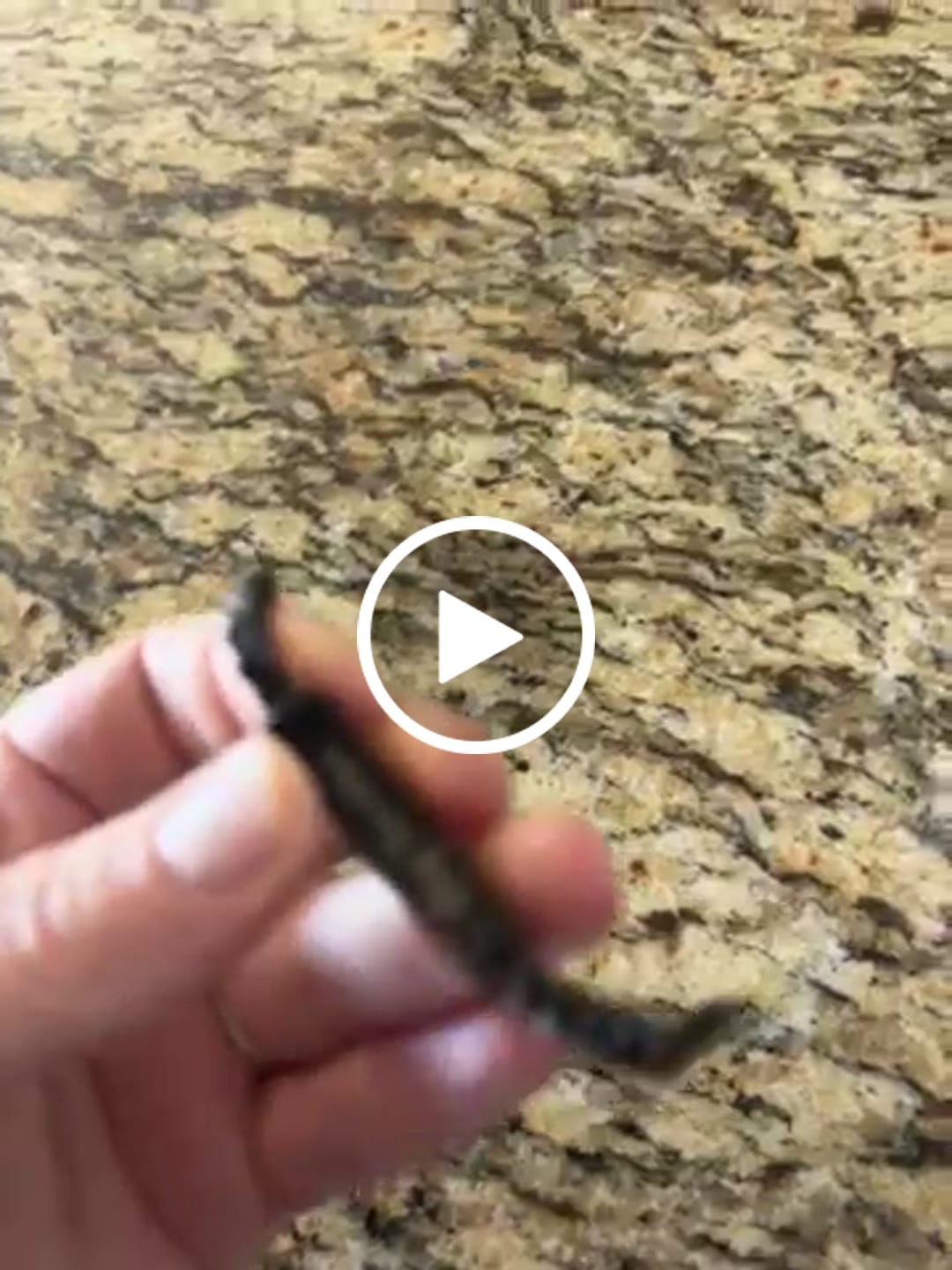 Customer video review of Franco Link ID Urn Bracelet | 6MM