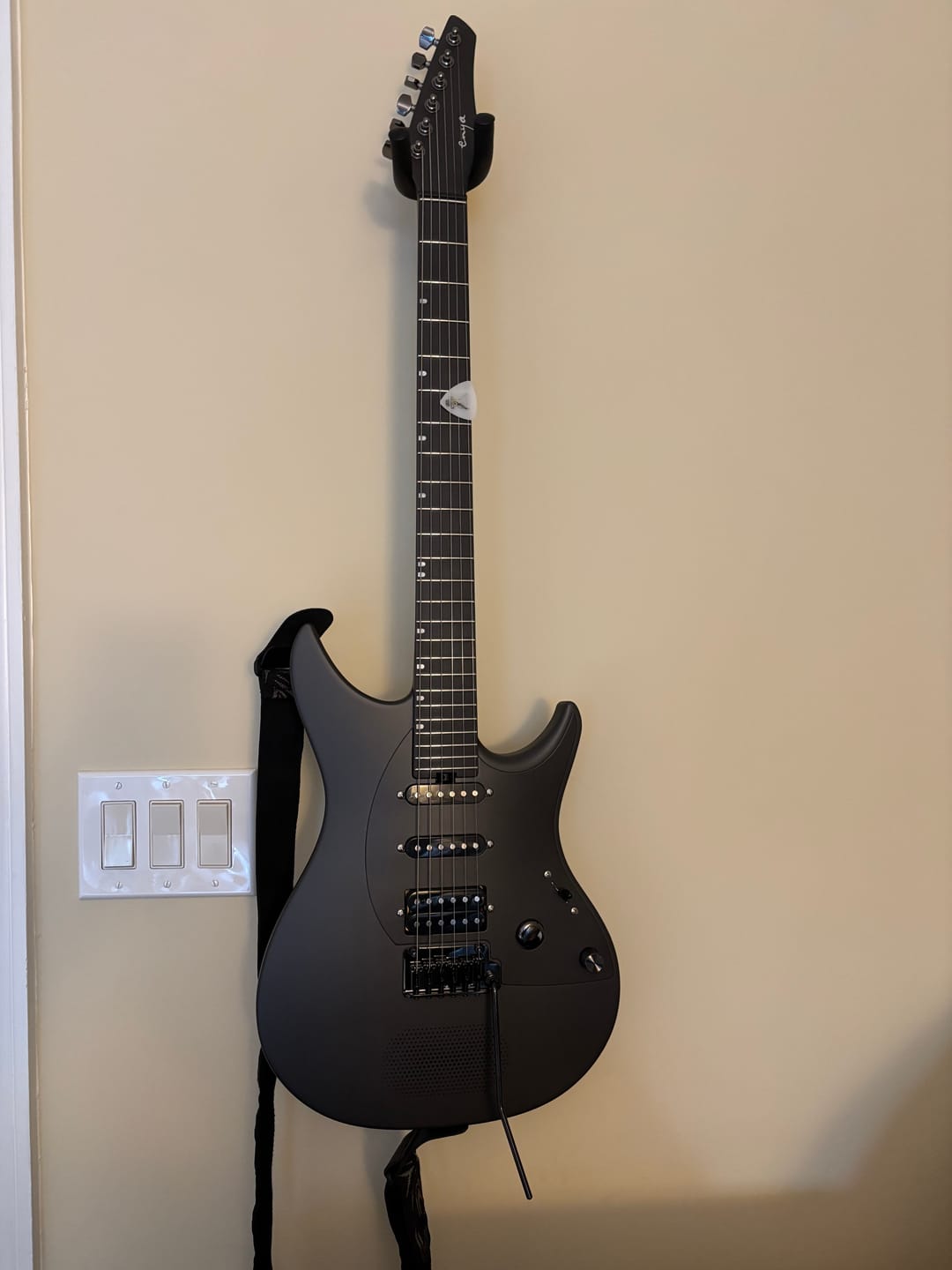 Customer photo review of Inspire
