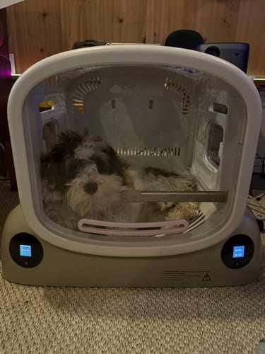 Customer photo review of Pet Dryer Box