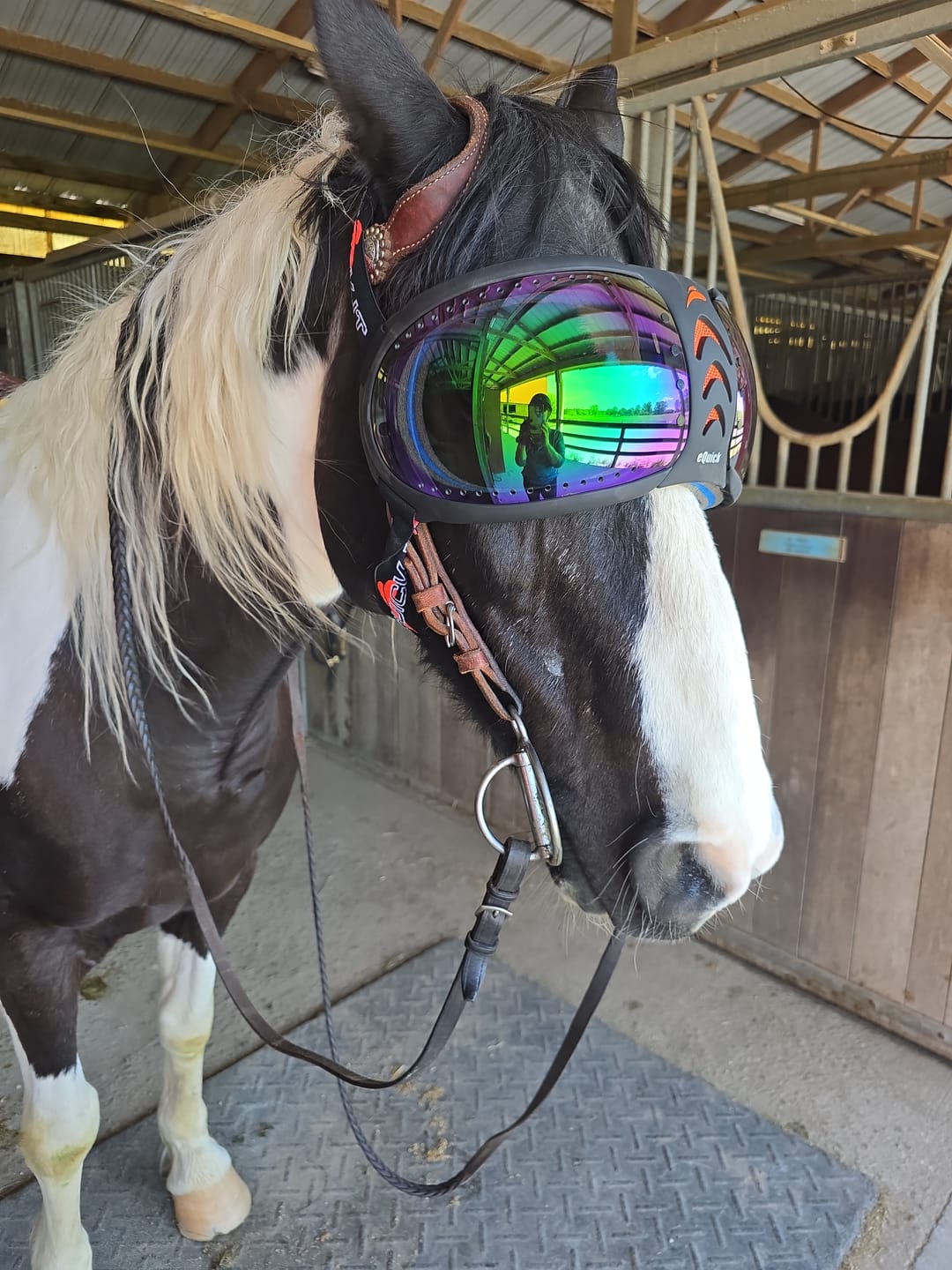Customer photo review of eVysor - UV Horse Riding Goggles!