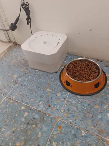 Customer photo review of CT8537 1 Pieza De Tazon Para Mascota