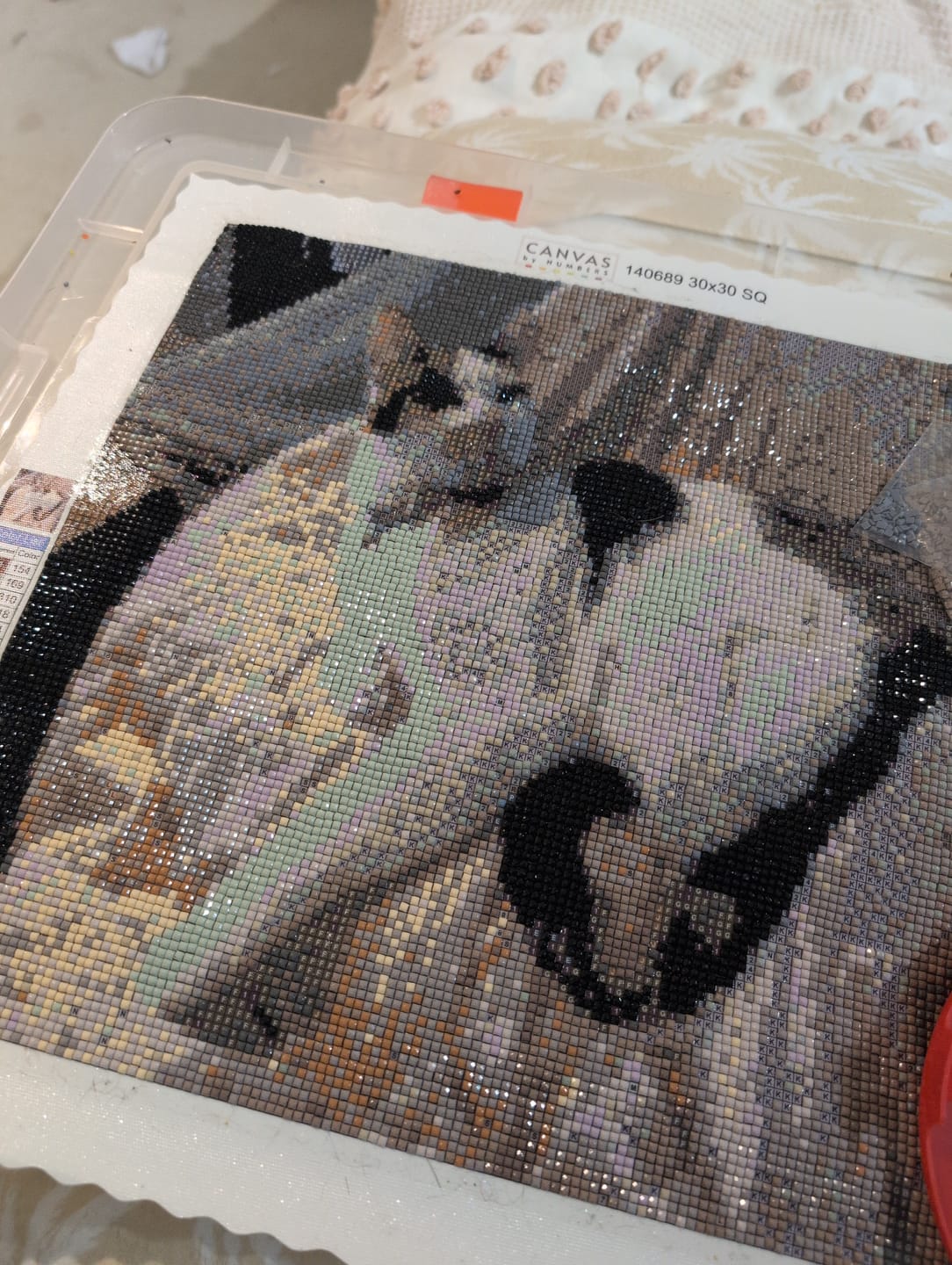 Customer photo review of Custom Diamond Painting