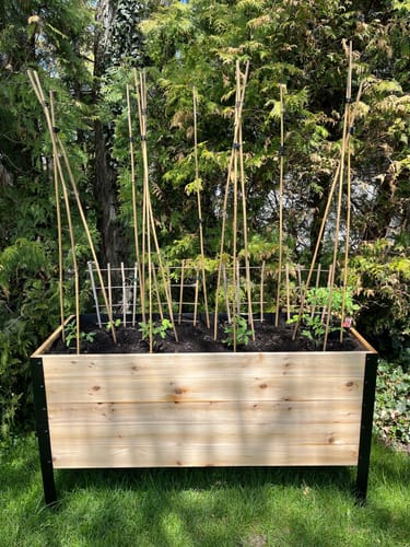 Customer photo review of 18" x 48" Raised Garden Bed - 30" TALL