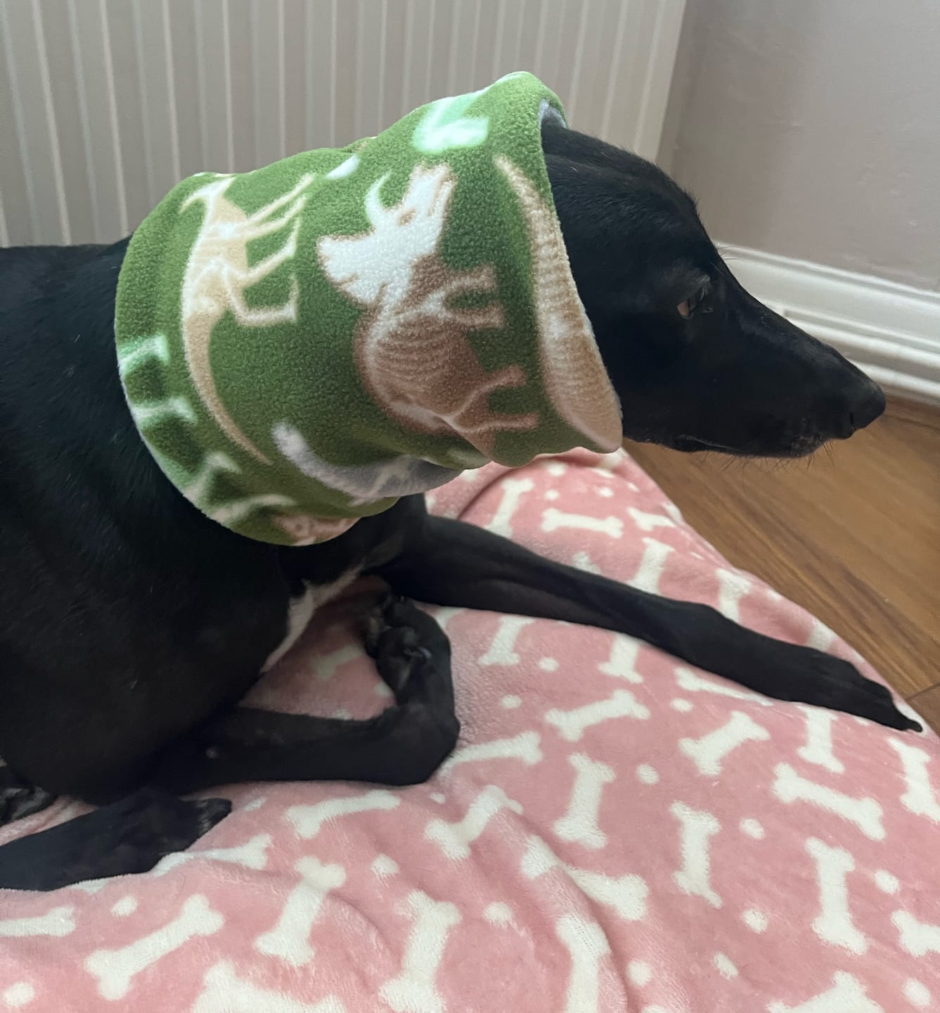 Customer photo review of Dino Skeletons on Green Anti Pill Polar Fleece Fabric