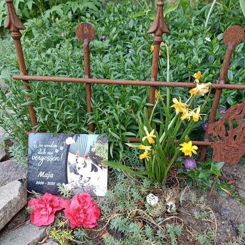 Customer photo review of Hunde Gedenktafel mit Foto & Spruch (UV- &  Wetterfest)