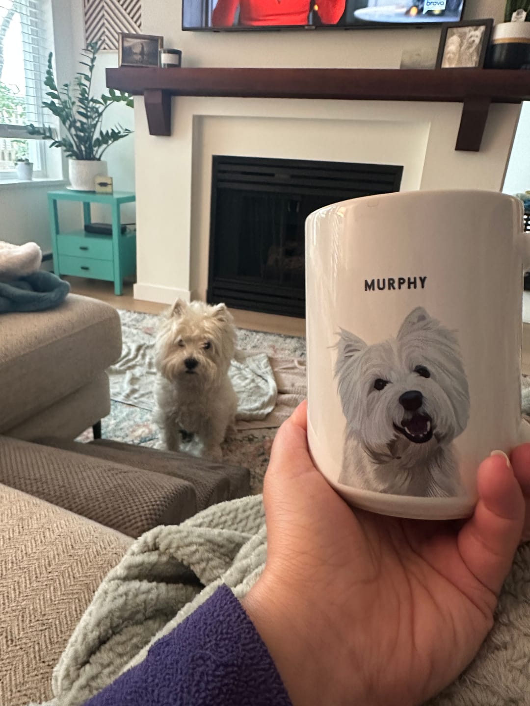 Customer photo review of Custom Pet Portrait Mug