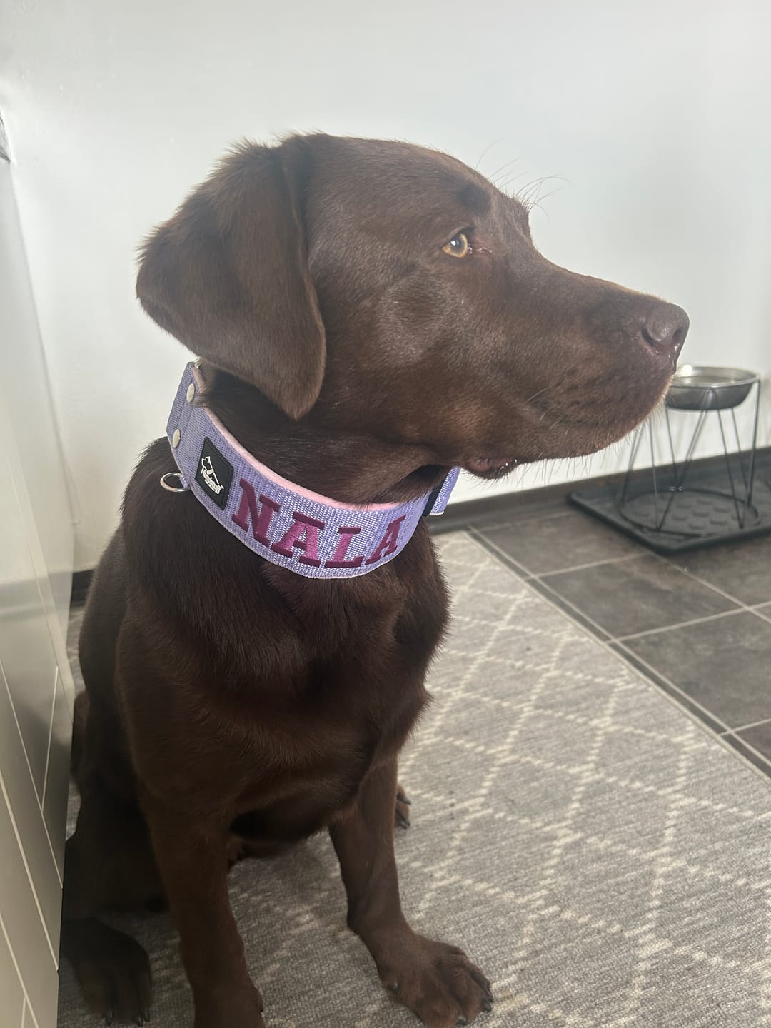 Customer photo review of Martingale halsband med namn